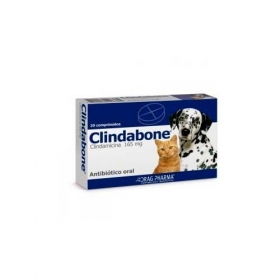 CLINDABONE 165MG X 20 COM