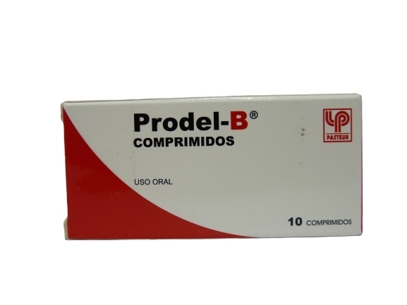 PRODEL B X10COM.