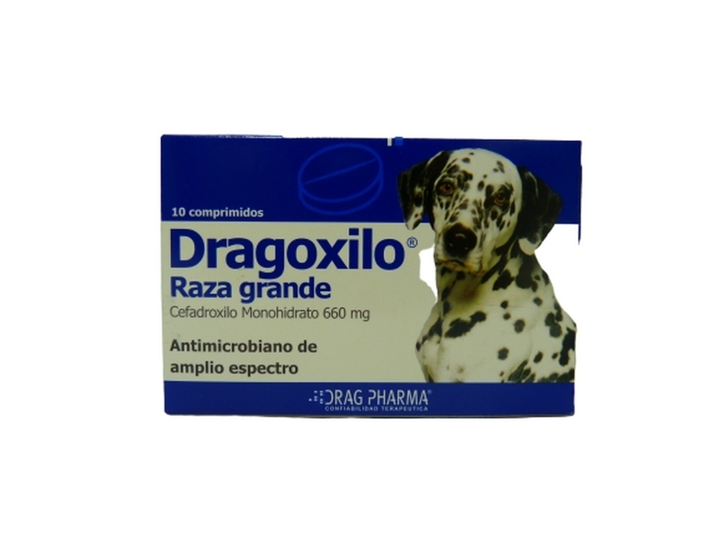 DRAGOXILO PERROS 660 X 10COM