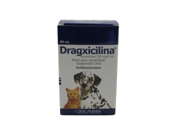 DRAGXICILINA 250MG/5ML X 60 ML