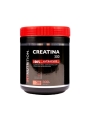 CREATINA MYN 300 GR