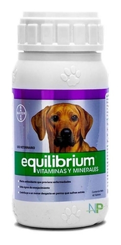 EQUILIBRIUM  VITAMINAS Y MINERALES X 60 COMP