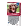 ADVANTIX X1 PIPETA 25-40KG