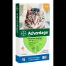 ADVANTAGE X1 PIPETA 4KG