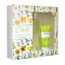 CORAL CITRIK PERFUME LOTION