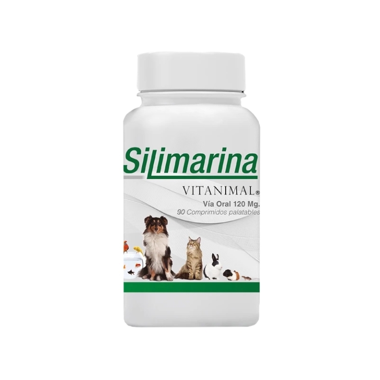 SILIMARINA 120MG X90 COMPRIMIDOS
