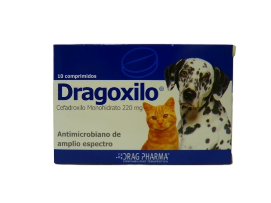 DRAGOXILO PERROS-GATOS 220 X 10COM