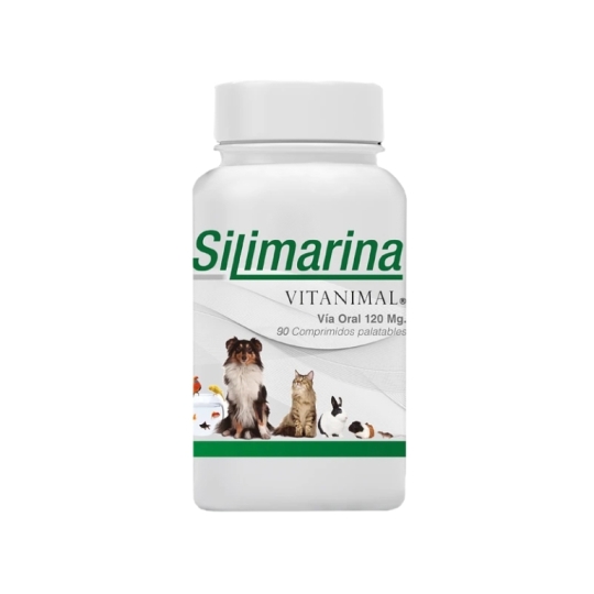 SILIMARINA 120MG X90 COMPRIMIDOS