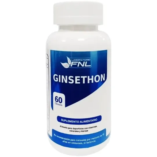 GINSETHON X60 COMPRIMIDOS
