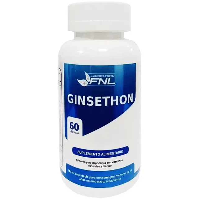 GINSETHON X60 COMPRIMIDOS