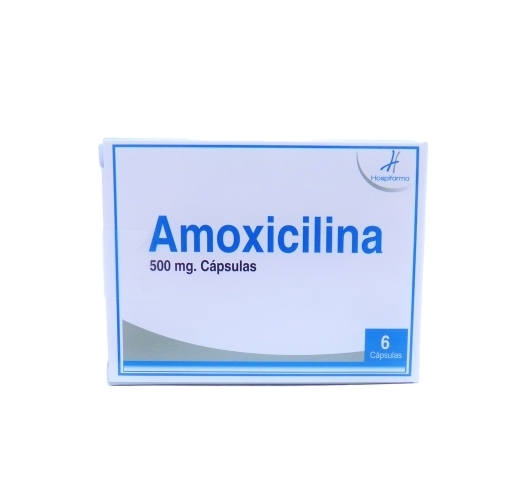 AMOXICILINA 500mg X6CAP.