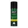 Brut Classic Espuma Afeitar Piel Sensible X 210Ml | brut espuma 210ml