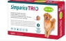Simparica Trio Perro Caramelo 20 A 40K X 1Com | simparica perro 20-40k