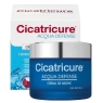 CICATRICURE ACQU DEF NOCHE X 50G
