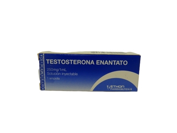 TESTOSTERONA ENANTATO 250MG X1 AMPOLLA