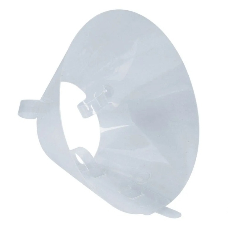 Dog Collar Isabelino Classic X 10 Cm | dog collar 10cm