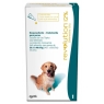 REVOLUTION PLUS 12% PIPETA PERRO 20.1 a 40KG