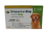 SIMPARICA 80MG PERRO X1