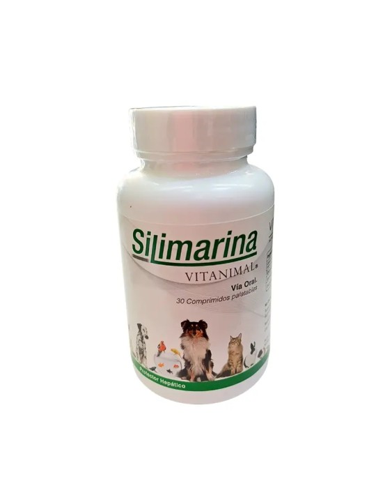 SILIMARINA 120MG X 30 COM