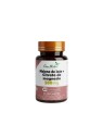 MELENA DE LEON + CITRATO DE MAGNESIO X 60 CAP GREEN MEDICAL