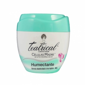TEATRICAL HUMECTANTE 200 G
