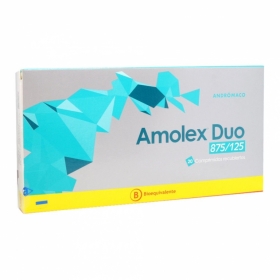 AMOLEX DUO 875/125 X 20...