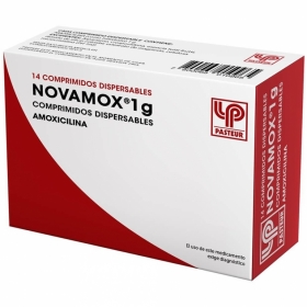 NOVAMOX 1G X 14 COM DISP