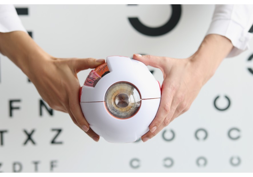 Fatiga visual digital: por qué duelen tus ojos