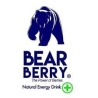 BEAR BERRY